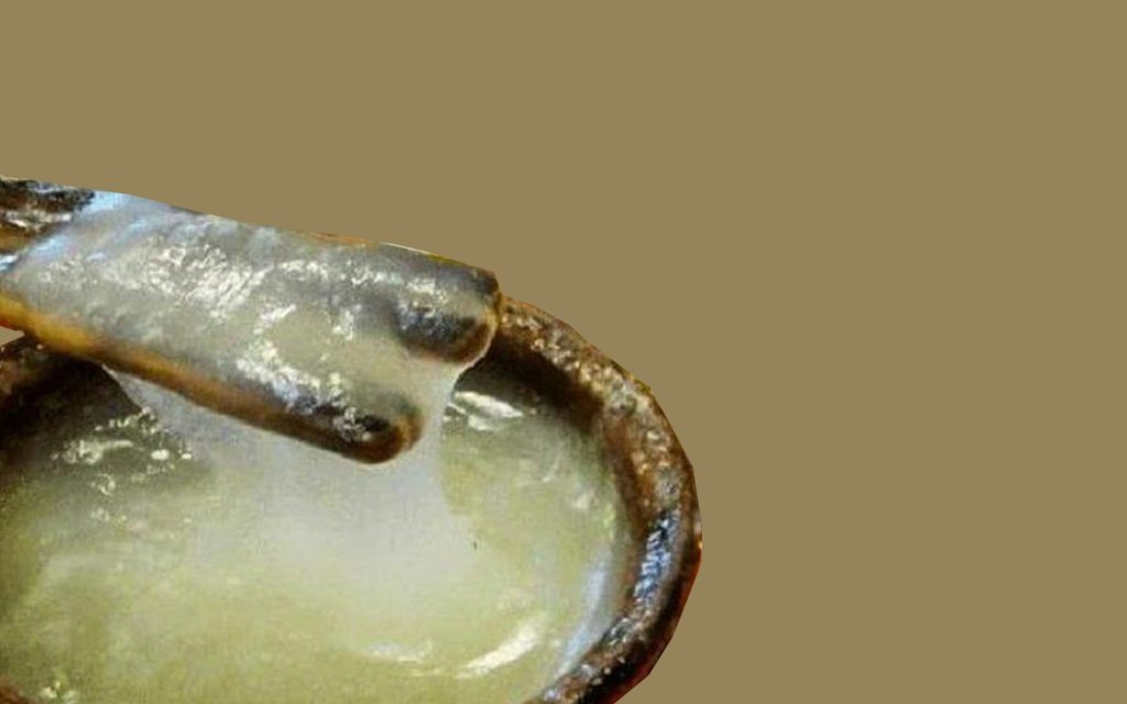 Gambar berikut tidak memiliki atribut alt; nama berkasnya adalah papeda.jpg