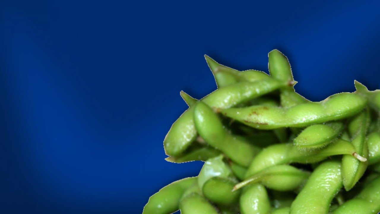 edamame edit