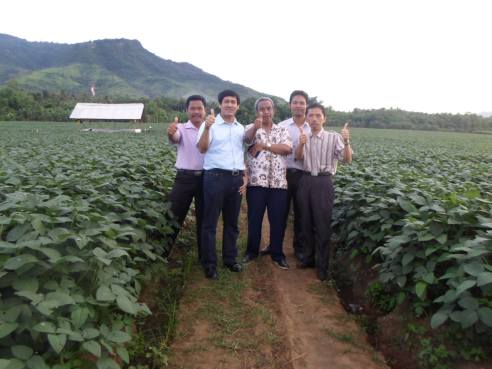 Kebun edamame di Jember