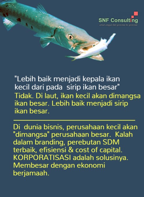 ikan kecil ikan besar korporatisasi1