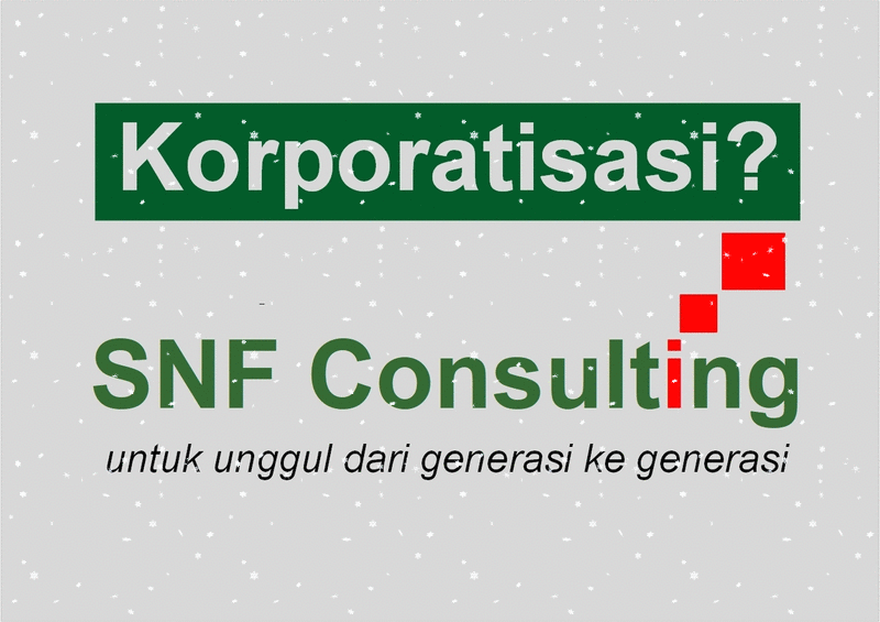 Logo SNF Consulting dengan tagline korporatisasi efek star