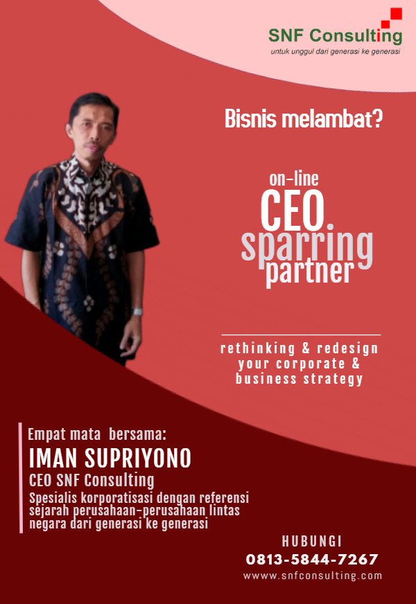 CEO Sparring partner3