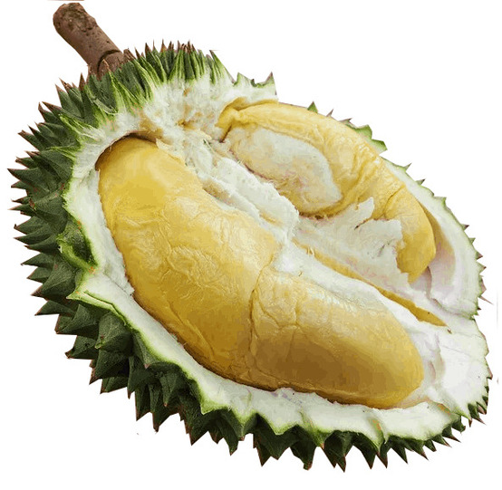 durian crop